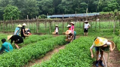 Trại hè Yên Tử 2024